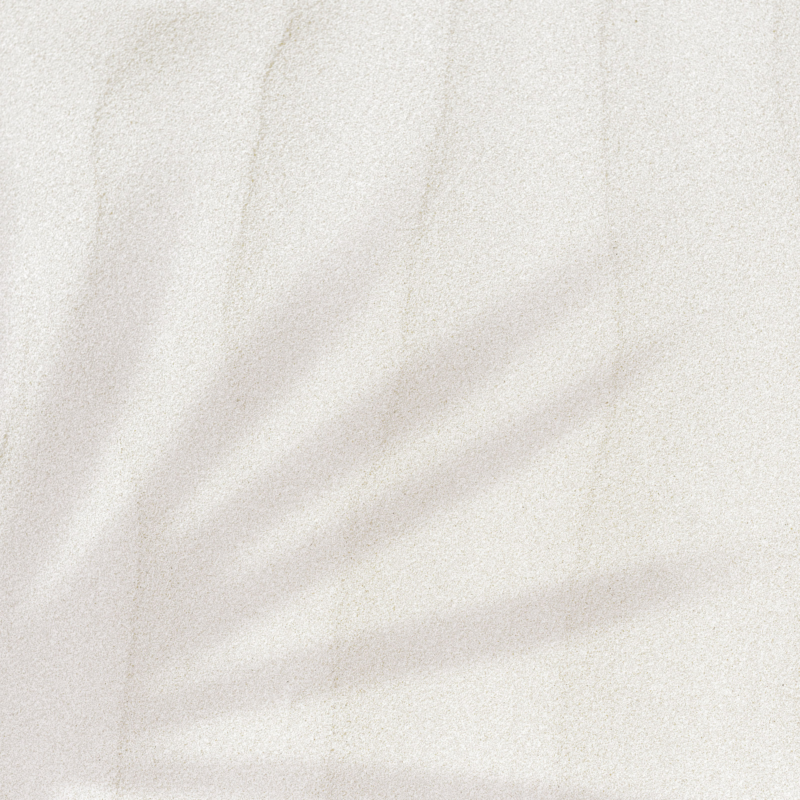 Fine ivory sand with soft wind-drawn lines