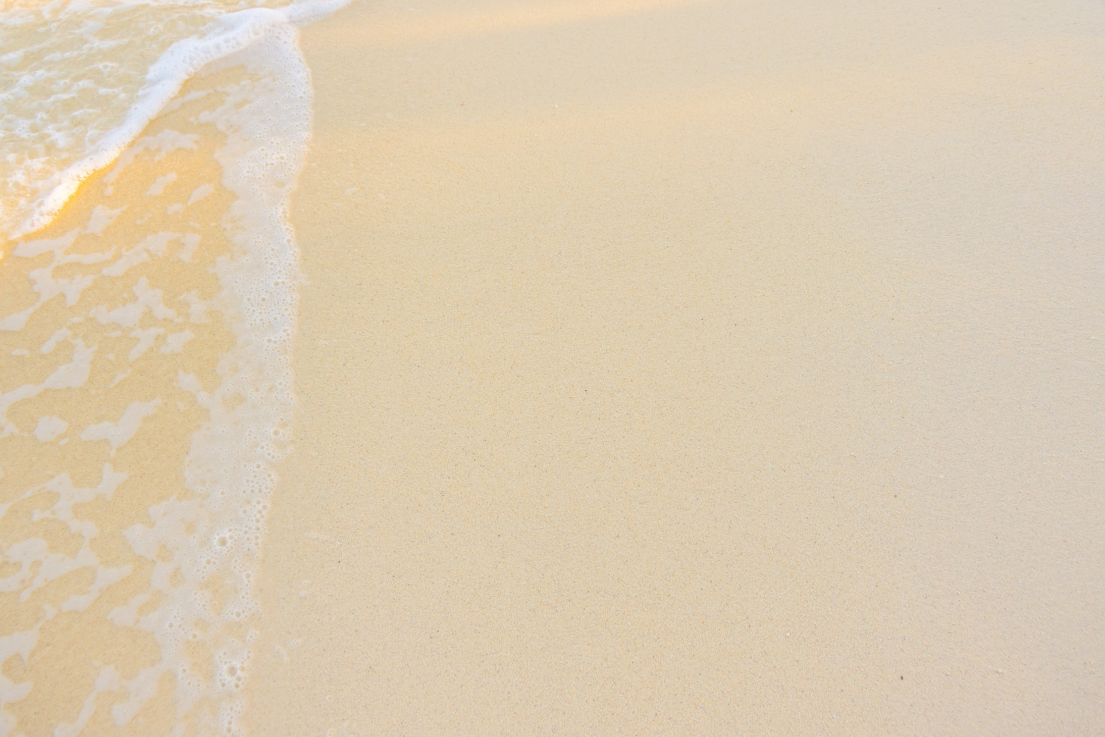 Sea foam meeting warm sand along a shoreline